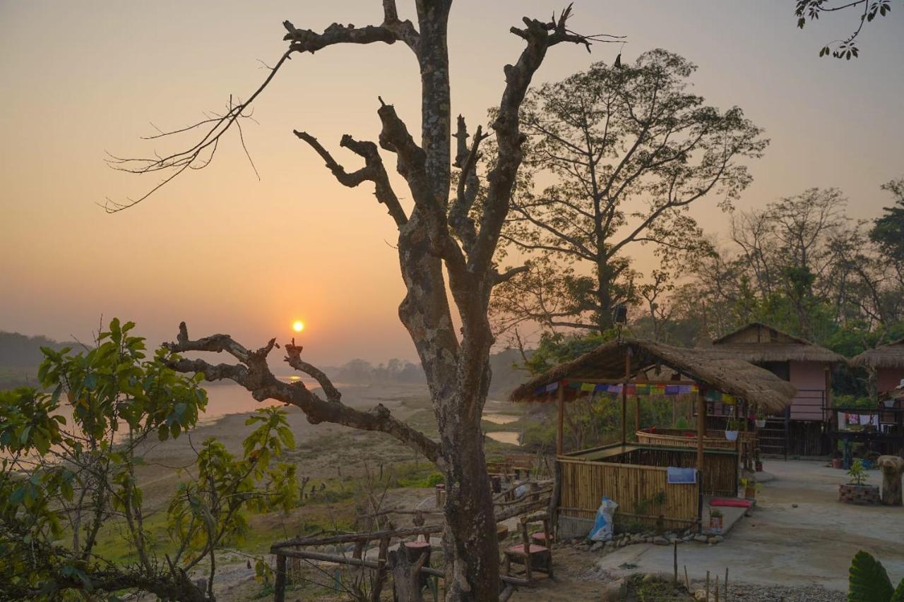 Bamby Chilling House - Feel The Nature Sauraha Exterior foto