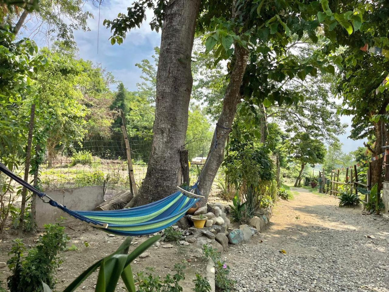 Bamby Chilling House - Feel The Nature Sauraha Exterior foto