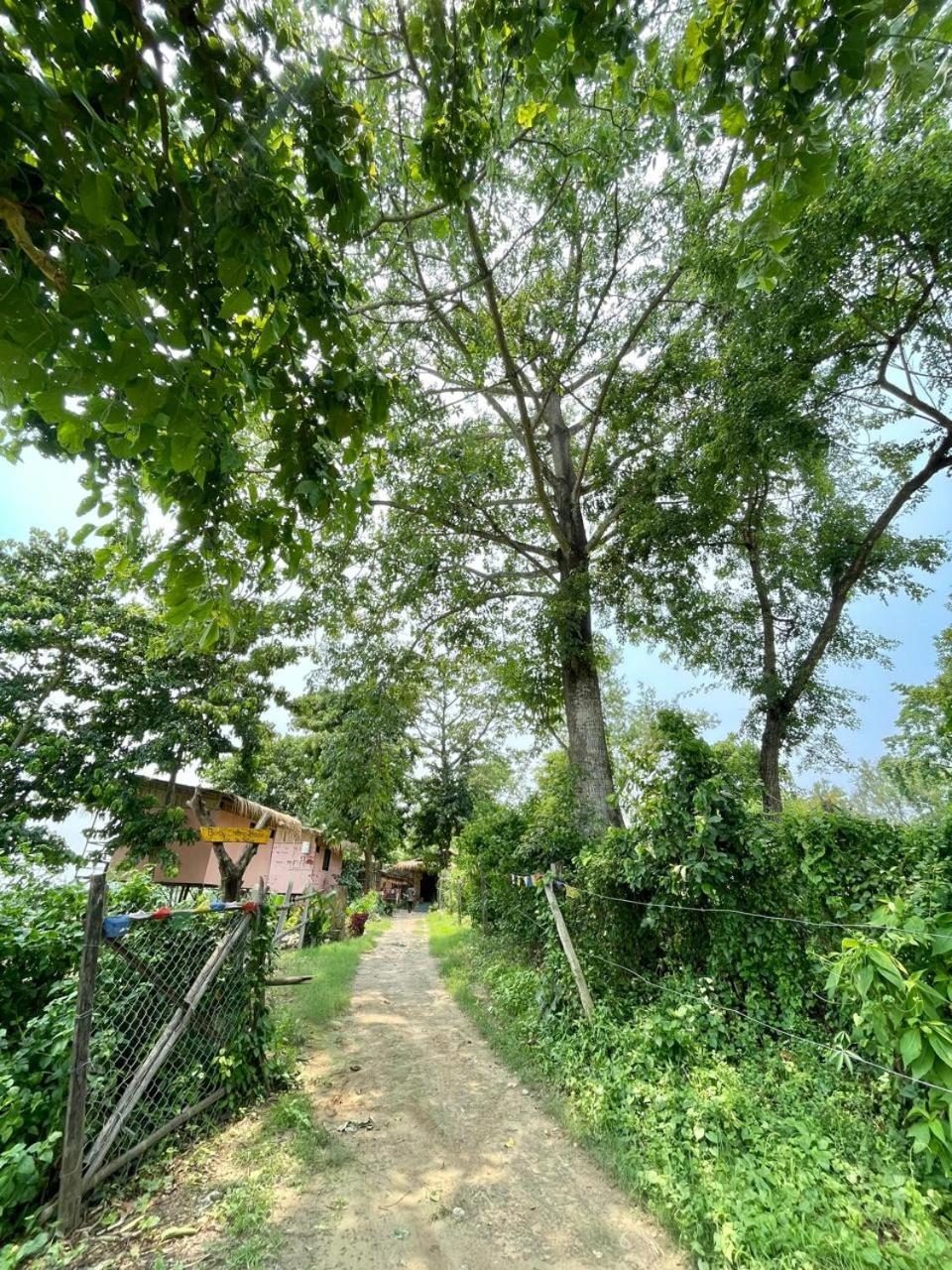 Bamby Chilling House - Feel The Nature Sauraha Exterior foto