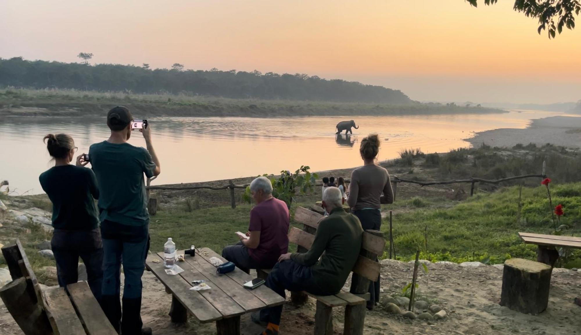 Bamby Chilling House - Feel The Nature Sauraha Exterior foto