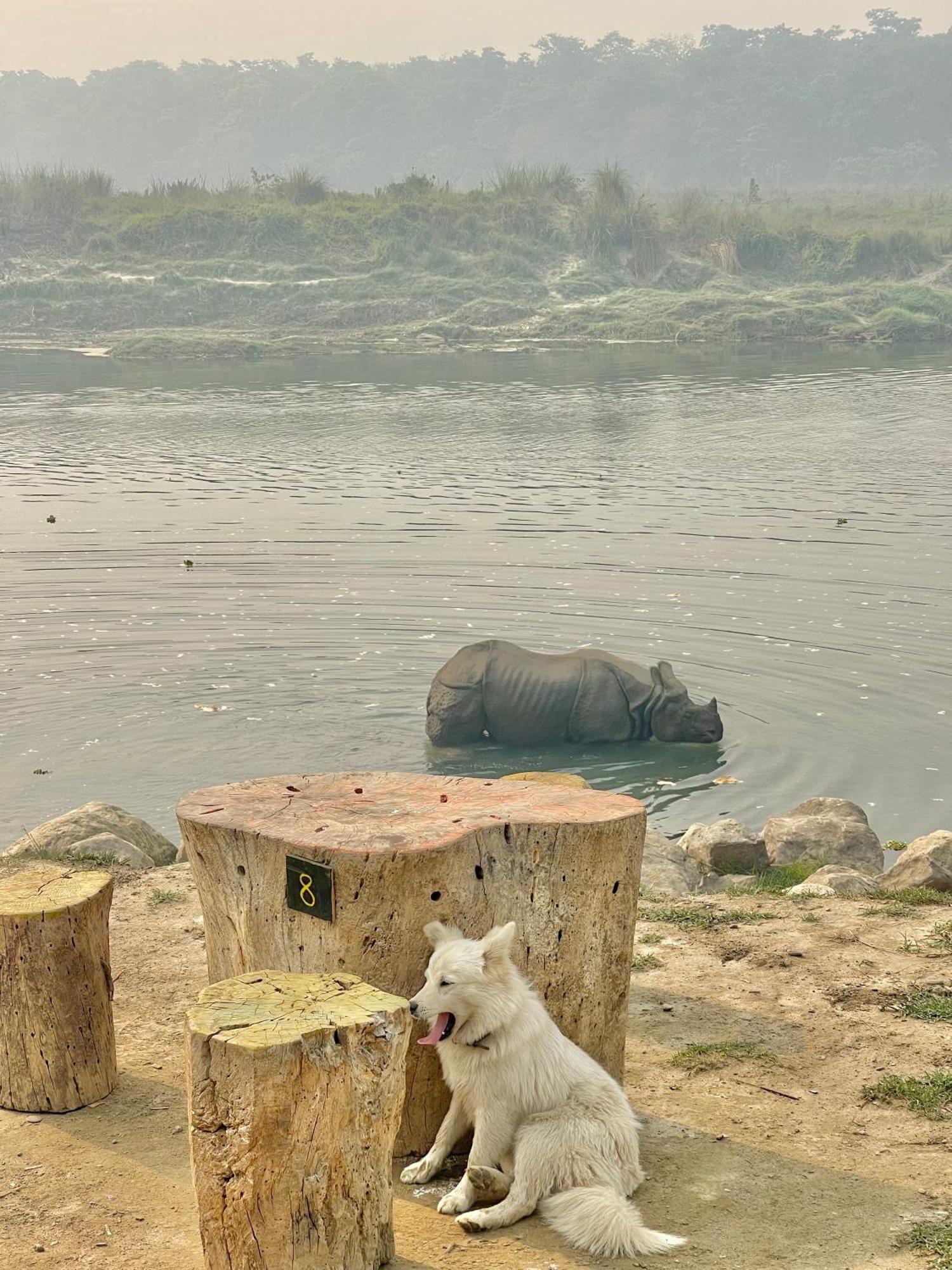 Bamby Chilling House - Feel The Nature Sauraha Exterior foto
