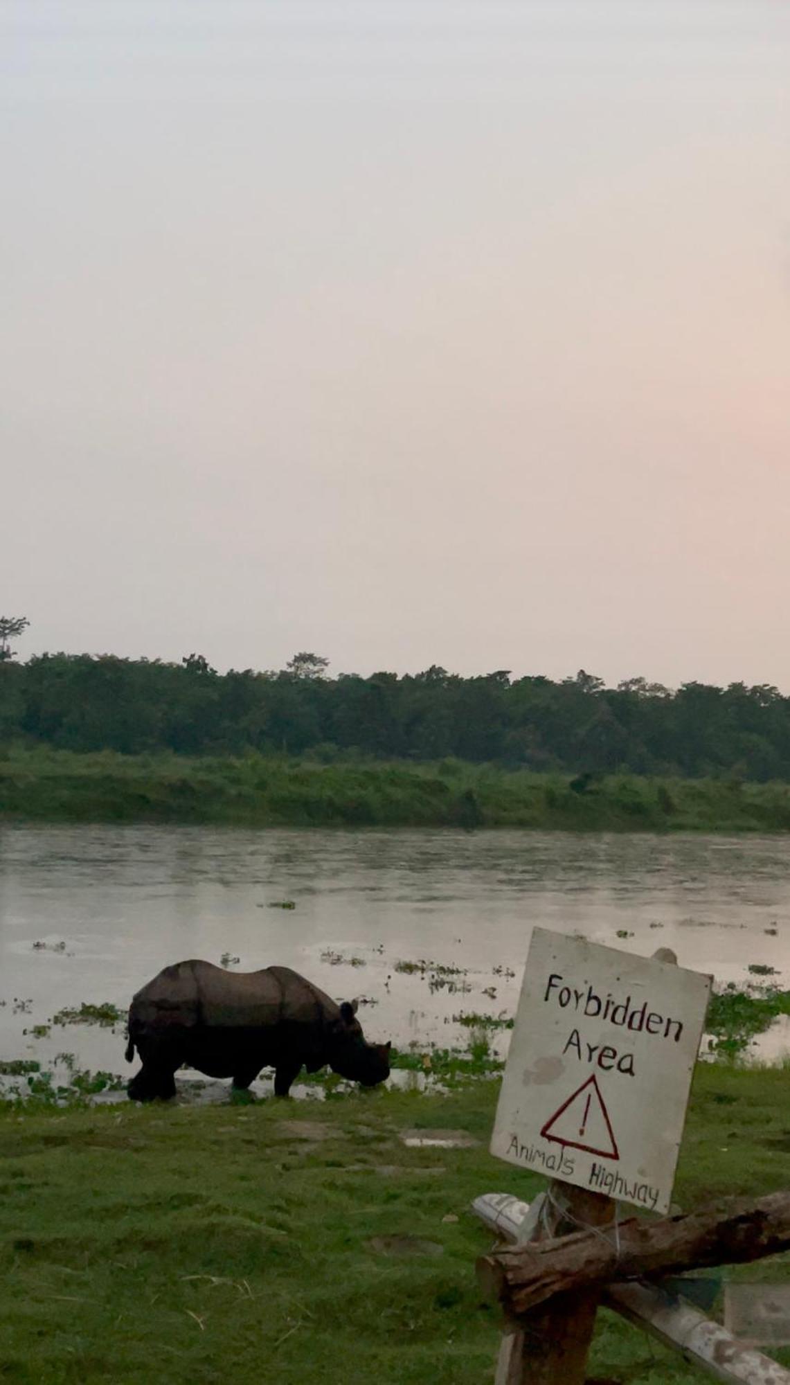 Bamby Chilling House - Feel The Nature Sauraha Exterior foto